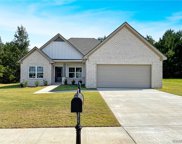 6621 Fenway Lane, Cottondale image