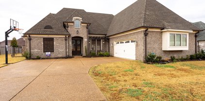 2253 N Forest Hill-Irene Rd, Cordova