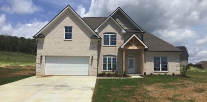 1510 Flat Walk, Lascassas