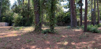 13910 Dolphin Drive, Willis