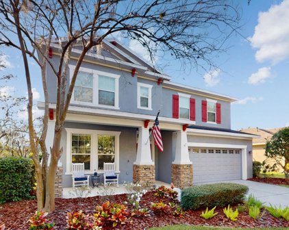 15835 Starling Water Drive, Lithia