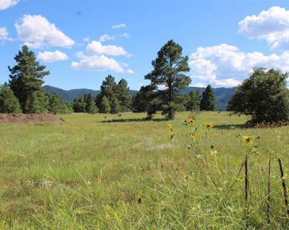 94 Convention, Pagosa Springs