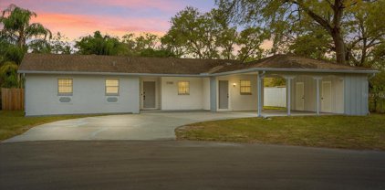11705 Country Club Place, Tampa