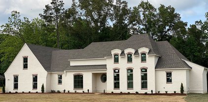 9170 Highland Meadows Drive, Hernando