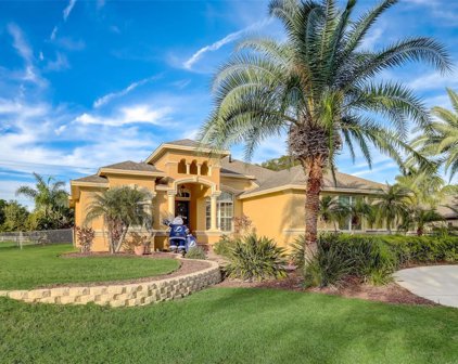 12529 Twin Branch Acres Road, Tampa