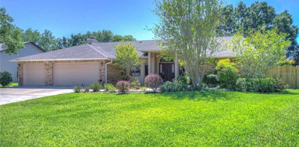 2830 Timber Knoll Drive, Valrico