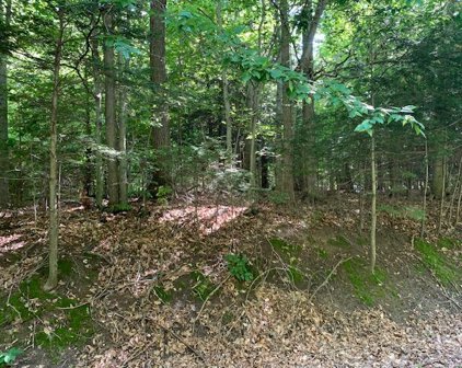Schoedel Road, Manistee
