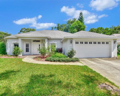 1157 Glen Falls Road, Deland