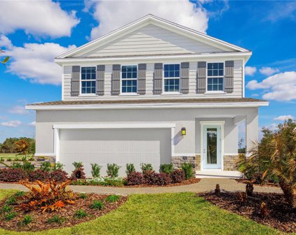 10907 Osprey Glade Terrace, Land O' Lakes