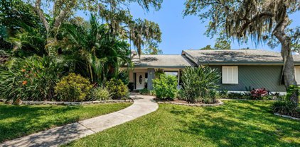 3094 Enisglen Drive, Palm Harbor