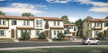 842 Francesca, Walnut