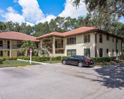 2813 Hammock Court, Clearwater