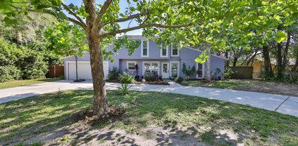 16119 E Lake Burrell Drive, Lutz