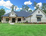 7582 Saddle Blanket Drive, Waller image