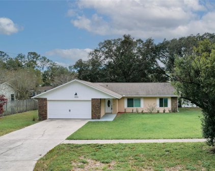 3020 Mary Lane, Mount Dora