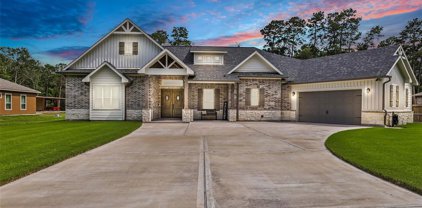 27608 Rio Blanco Drive, Splendora
