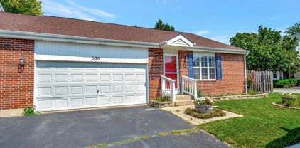509 Willow Court Unit #509, Romeoville