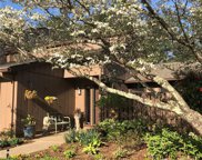 450 Crowfields  Drive, Asheville image