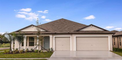 2987 Flying Blackbird Road, Bartow