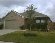 8602 Sunset Pond Drive, Tomball image