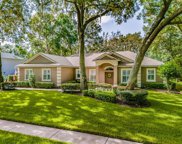 6229 Wild Orchid Drive, Lithia image