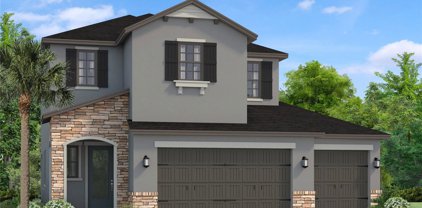 3960 Aldea Way, Wesley Chapel