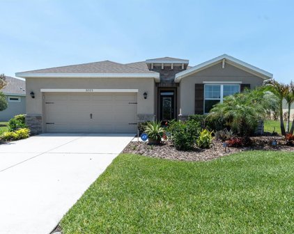 31573 Tansy Bend, Wesley Chapel