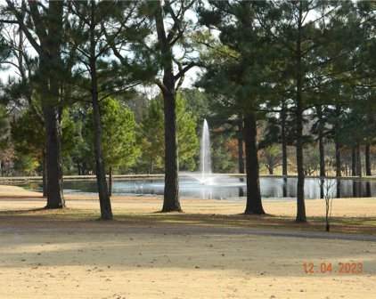 2597 E Joyce Boulevard, Fayetteville