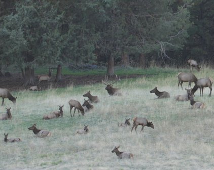 84658 Troy Rd., Wallowa