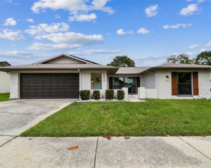 203 Nestlebranch Drive, Safety Harbor