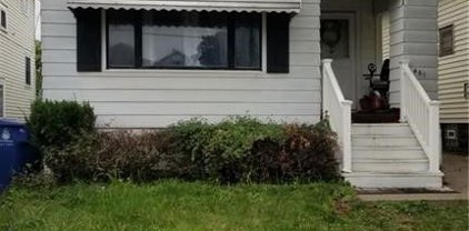 461 S Ogden  Street, Buffalo City-140200
