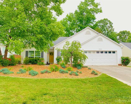 12522 Shelly Pines  Drive, Charlotte