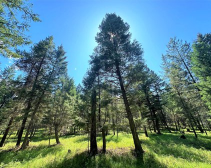 NHN Moose Farm Trail, Fortine