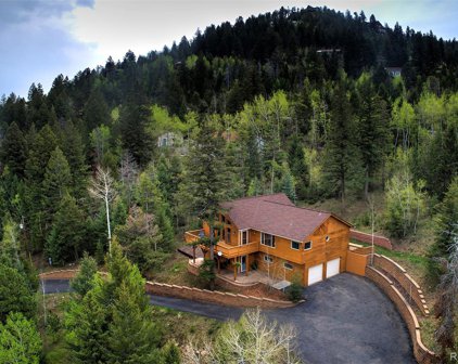9820 City View Drive, Morrison