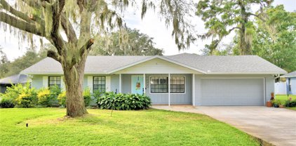 4223 Shadow Wood Court, Winter Haven