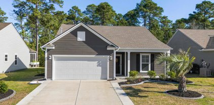 187 Long Leaf Pine Dr., Conway