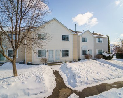 9066 Scarlet Globe Drive, Eden Prairie