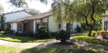 1724 Cypress Trace Drive, Safety Harbor