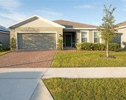 327 August Fern Loop, Mount Dora image