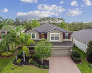 1531 Feather Grass Loop, Lutz image