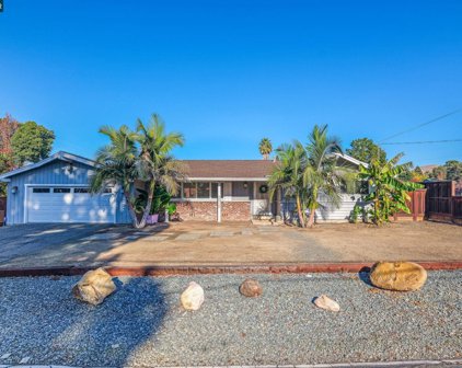 5315 Olive Dr, Concord