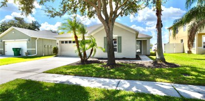5029 Whistling Pines Court, Wesley Chapel