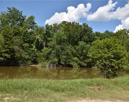 lot 10 Pump Slough, Pearl River