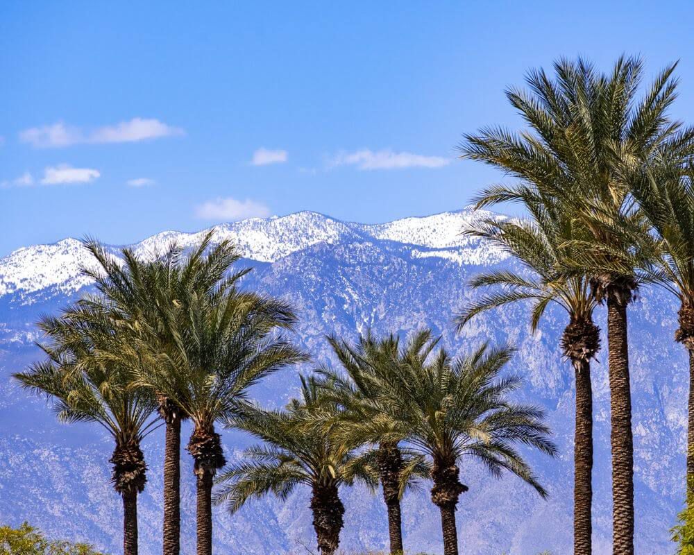Palm Springs Real Estate