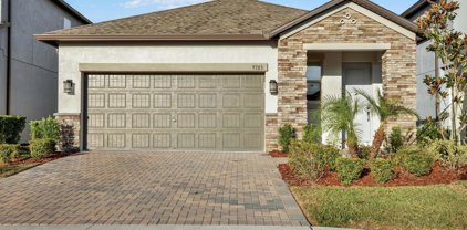 9783 Wild Begonia Loop, Land O' Lakes