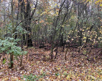 Lot 3 CLARK STREET, Stevens Point