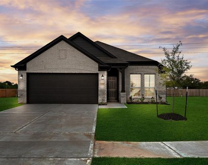 2198 Reed Cave Lane, Spring