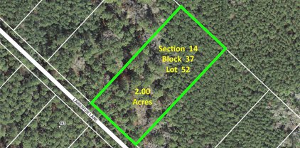 14-37-52 Larkspur Lane, New Waverly