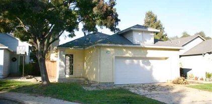 935 Antelope Terrace, Brentwood