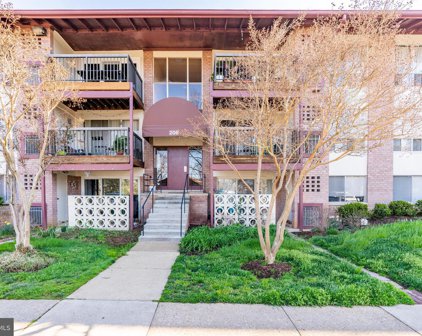206 Park Terrace Ct Se Unit #38, Vienna